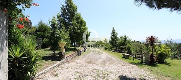 1 غرف نوم منزل في Ribeirao, Portugal رقم 34339 6