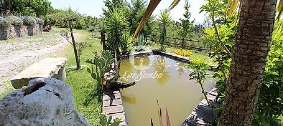 1 غرف نوم منزل في Ribeirao, Portugal رقم 34339 23