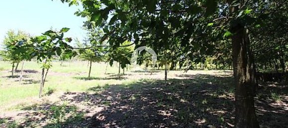 1 غرف نوم منزل في Ribeirao, Portugal رقم 34339 13