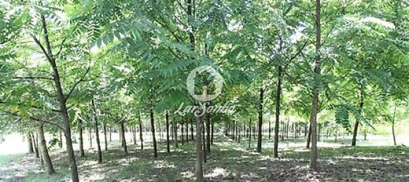 1 غرف نوم منزل في Ribeirao, Portugal رقم 34339 10