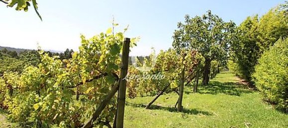 1 غرف نوم منزل في Ribeirao, Portugal رقم 34339 15