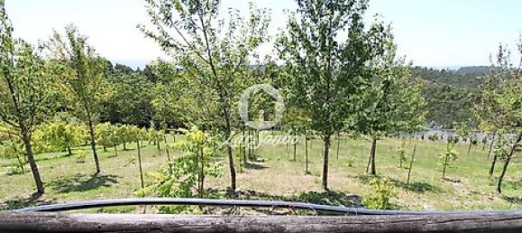 1 غرف نوم منزل في Ribeirao, Portugal رقم 34339 7