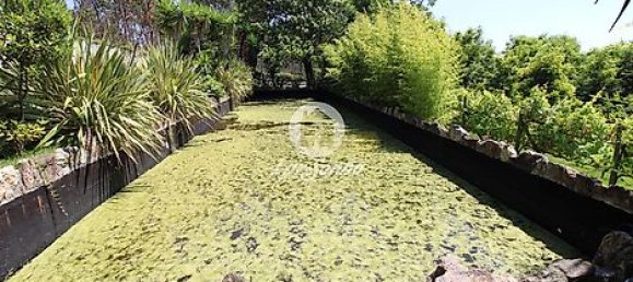 1 غرف نوم منزل في Ribeirao, Portugal رقم 34339 3