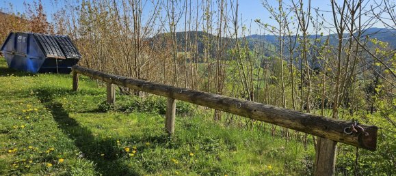 1195m² Commercial property in Upper Austria, Austria No. 135139 10