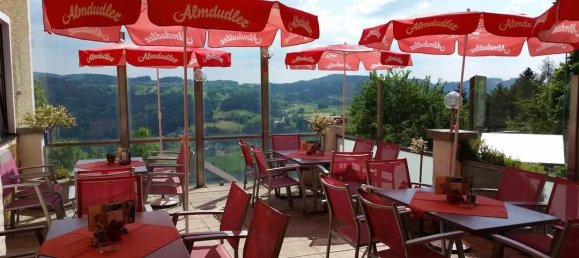 1195m² Commercial property in Upper Austria, Austria No. 135139 5