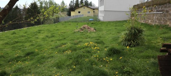 1195m² Commercial property in Upper Austria, Austria No. 135139 6