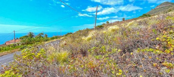 Земельный участок в Ла Пальма, Испания № 166708 12