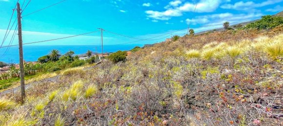 Земельный участок в Ла Пальма, Испания № 166708 6