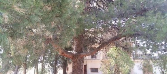 Дом с 19 комнатами в Виллальба, Италия № 253182 5