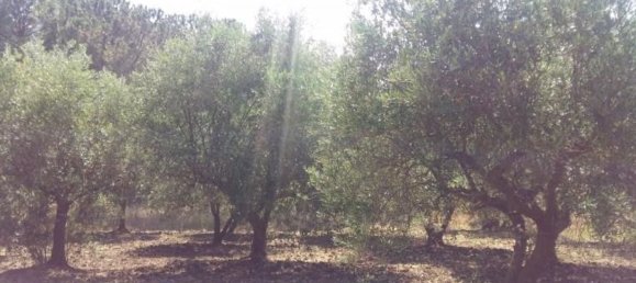 Дом с 19 комнатами в Виллальба, Италия № 253182 6