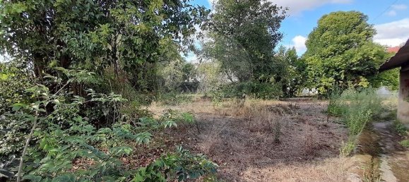 6 غرف نوم منزل في Anadia, Portugal رقم 48430 14