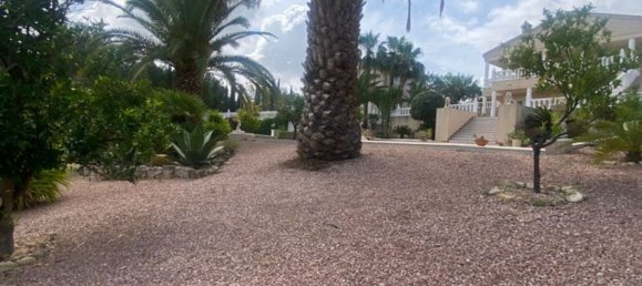 3 Schlafzimmer Villa in Almoradi, Spain, Nr. 176532 3