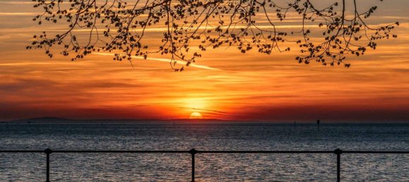 Квартира с 4 комнатами в Брегенц, Австрия № 145625 21