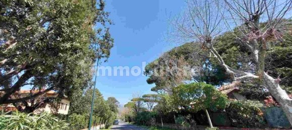 5 غرف نوم فيلا في Forte dei Marmi, Italy رقم 36507 40