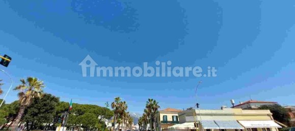 5 غرف نوم فيلا في Forte dei Marmi, Italy رقم 36507 28