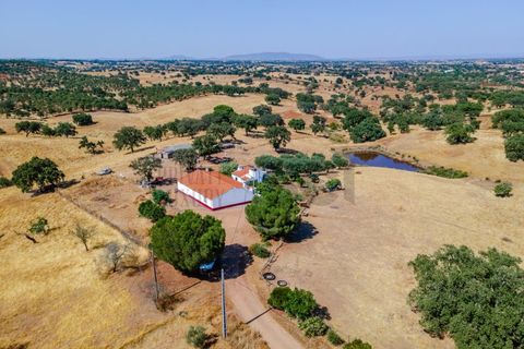 3 bedrooms Castles in Serpa, Portugal No. 355150