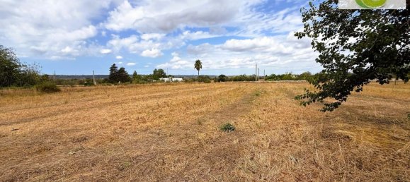 1 bedroom House in Tricase, Italy No. 346038 19