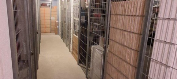 Квартира с 1 спальней в Фульда, Германия № 309180 17