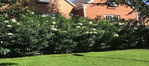 4 Schlafzimmer Haus in Santiago, Chile, Nr. 3440 2