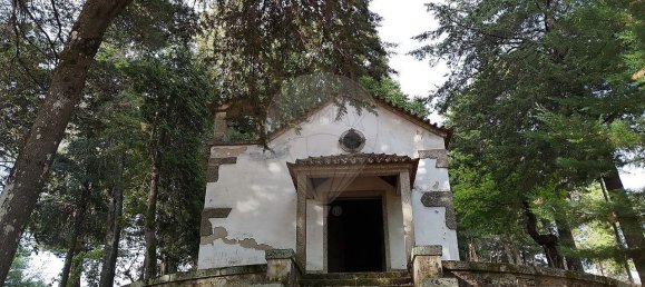 Grundstück in Covilha, Portugal 21178m², Nr. 266129 3