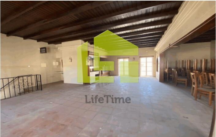 226m² Commercial property in Pias, Portugal No. 32028