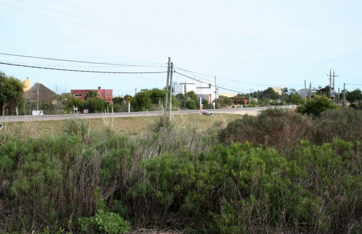  قطعة أرض في Maldonado, Uruguay رقم 14565