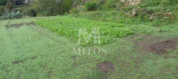 Grundstück in Viana do Castelo, Portugal 683m², Nr. 77998 6