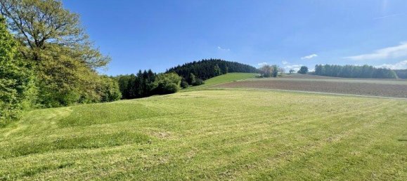 6-Zimmer Villa in Lockenhaus, Austria, Nr. 201672 35