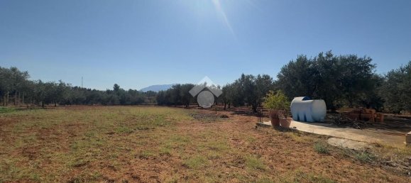 3 bedrooms Villa in Balestrate, Italy No. 315597 9