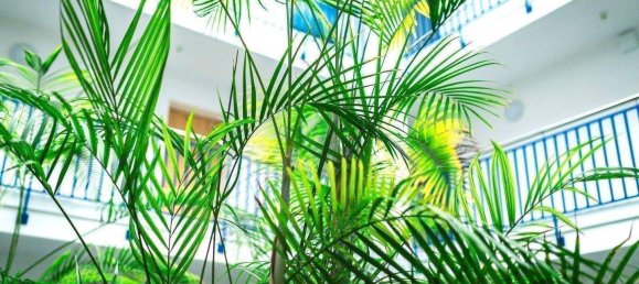 2-Zimmer Wohnung in Vorpommern-Rügen, Germany, Nr. 365444 4