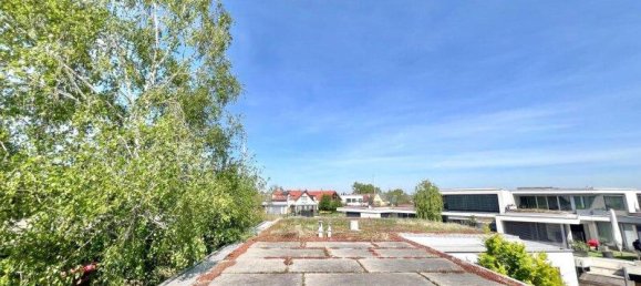 6-Zimmer Villa in Neusiedl am See, Austria, Nr. 227398 22