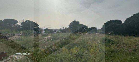 5 rooms Villa in Polignano a Mare, Italy No. 30740 35