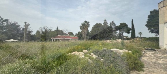 5 rooms Villa in Polignano a Mare, Italy No. 30740 38