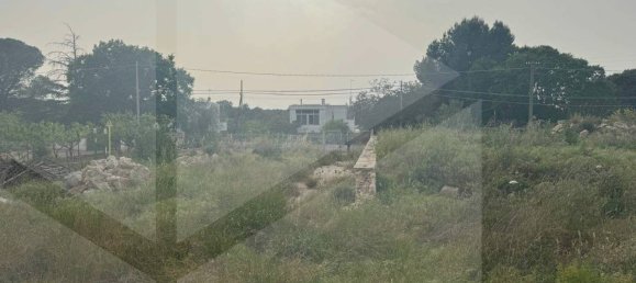 5 rooms Villa in Polignano a Mare, Italy No. 30740 36