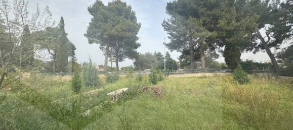 5 rooms Villa in Polignano a Mare, Italy No. 30740 7