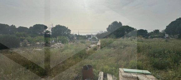 5 rooms Villa in Polignano a Mare, Italy No. 30740 37