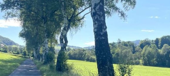 1 غرف نوم فيلا في Hochsauerlandkreis, Germany رقم 247271 16