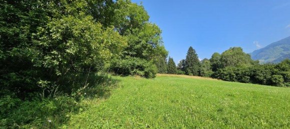  Land in Reisseck, Austria No. 213856 4