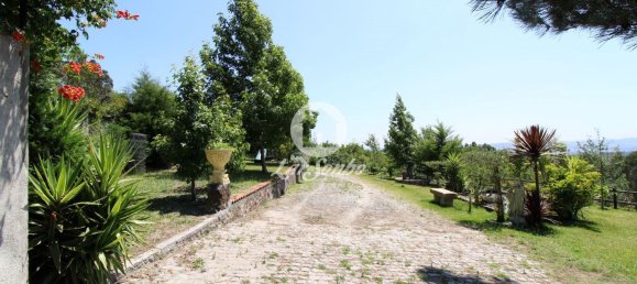 استوديو في Ribeirao, Portugal رقم 34341 8