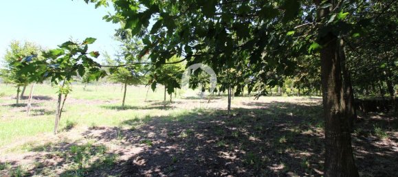 استوديو في Ribeirao, Portugal رقم 34341 15