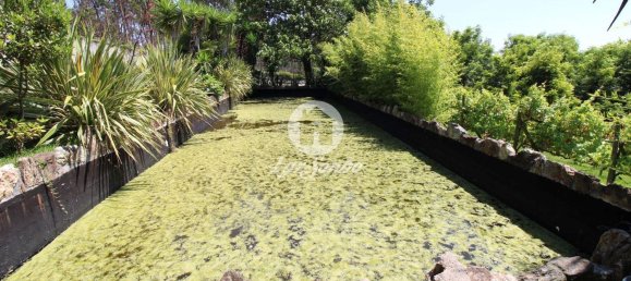 استوديو في Ribeirao, Portugal رقم 34341 5