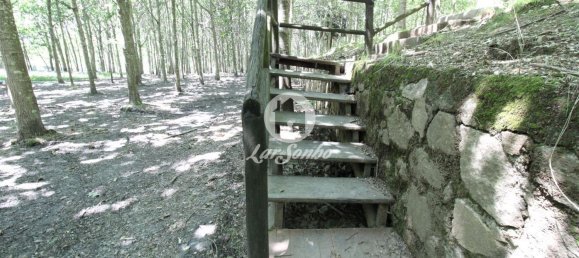 استوديو في Ribeirao, Portugal رقم 34341 14