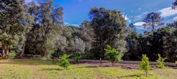 4 bedrooms Villa in Conca, France No. 51231 13