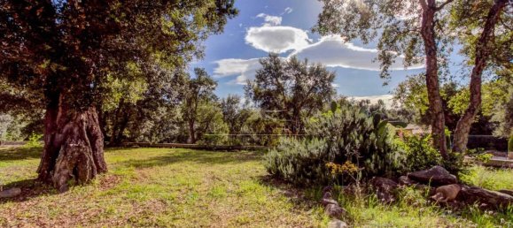 4 bedrooms Villa in Conca, France No. 51231 14