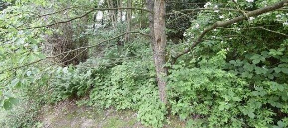 Terreno en Diepholz, Germany No. 312037 7