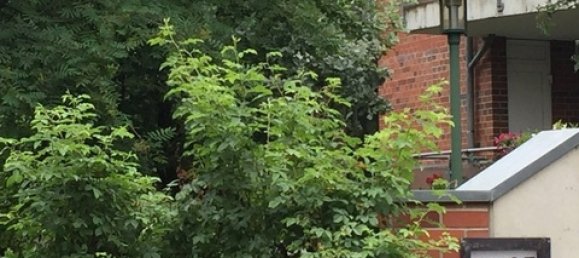 2 rooms Apartment in Lower Saxony, Germany No. 164419 6