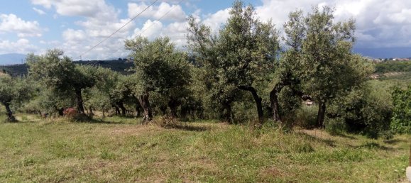 قطعة أرض في Moscufo, Italy 3500متر مربع رقم 15360 2