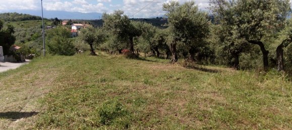 قطعة أرض في Moscufo, Italy 3500متر مربع رقم 15360 3