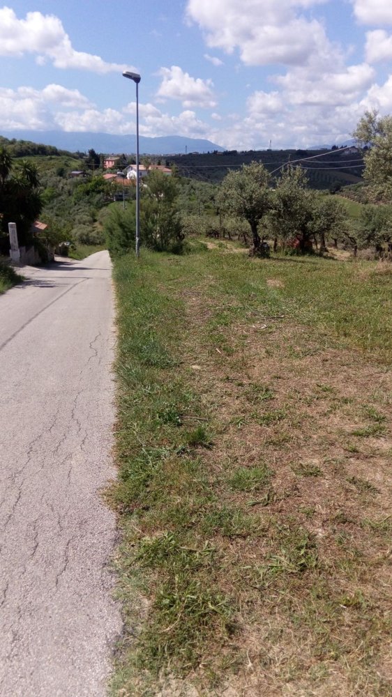 3500m² Land in Moscufo, Italy No. 15360