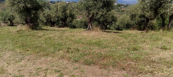 قطعة أرض في Moscufo, Italy 3500متر مربع رقم 15360 7